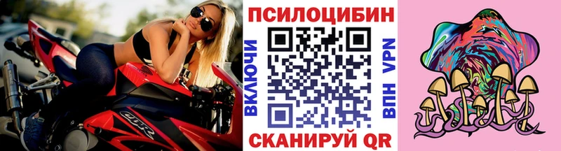 площадка какой сайт  Кимры  Псилоцибиновые грибы Psilocybine cubensis 
